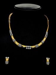 Two-Toned Earing & Necklace Set